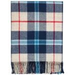 Douglas Border Navy Tartan Fabric