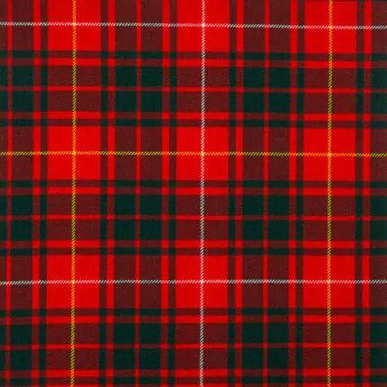 Bruce Modern Tartan Fabric