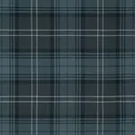 Highland Granite Modern Tartan Fabric