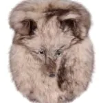 Silver Fox Full Mask Sporran