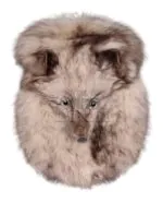Silver Fox Full Mask Sporran